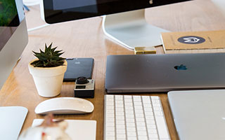 美式博美价格全解析：选择心怡爱犬的性价比之道